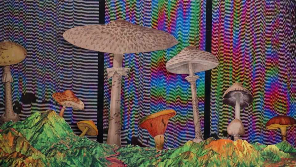 Life Finds a Way